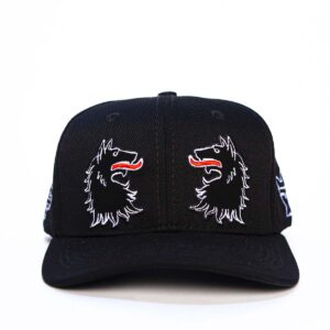 Boné Seven Brand - aba curva - “ Two Wolf “